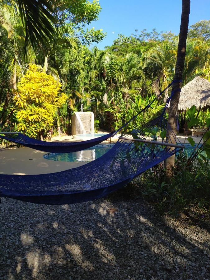 Indigo Yoga Surf Malpais