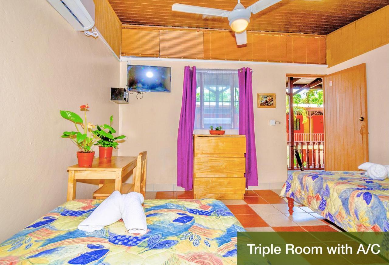 Hotel Blue Iguana