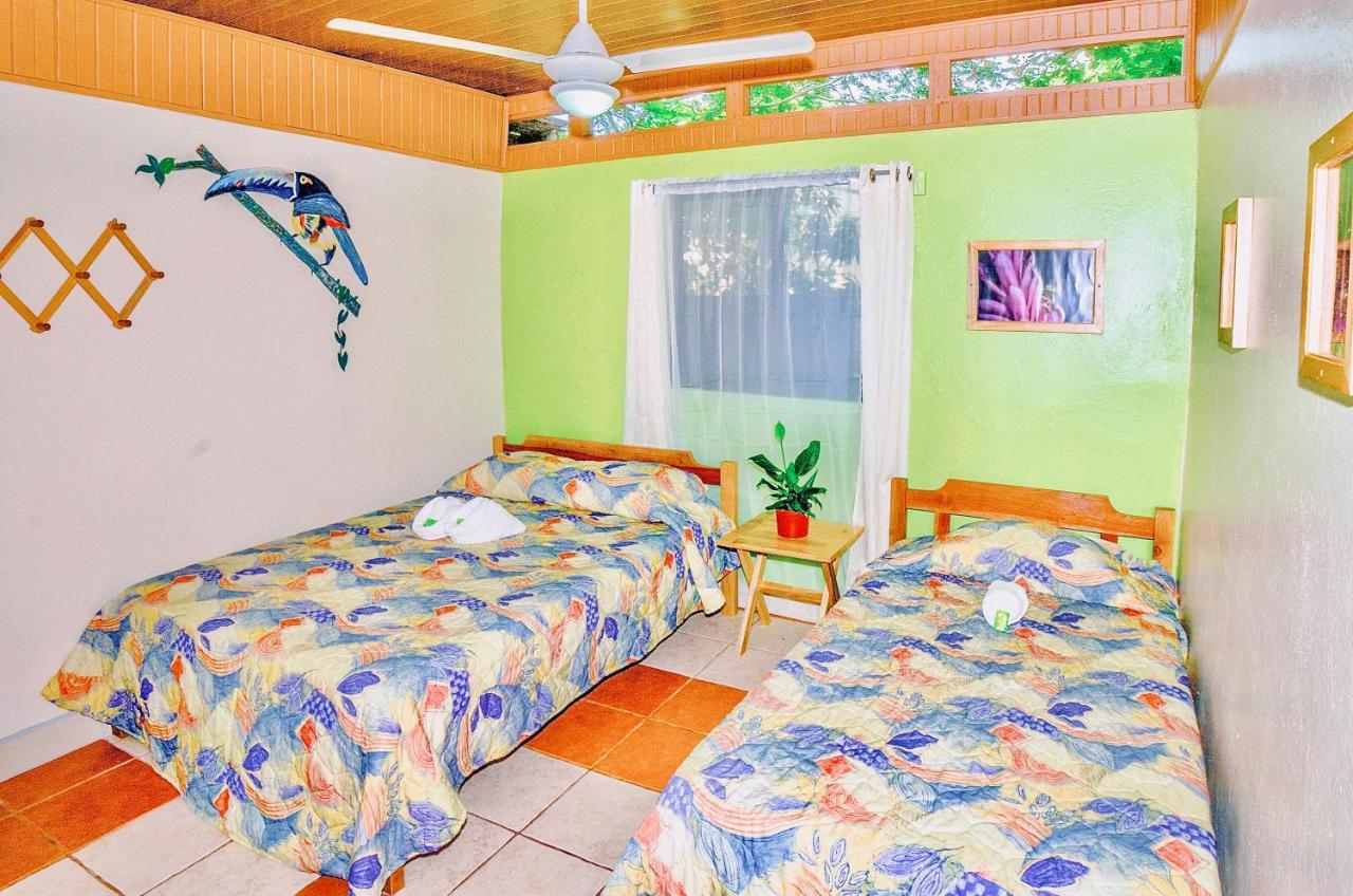 Hotel Blue Iguana 3*