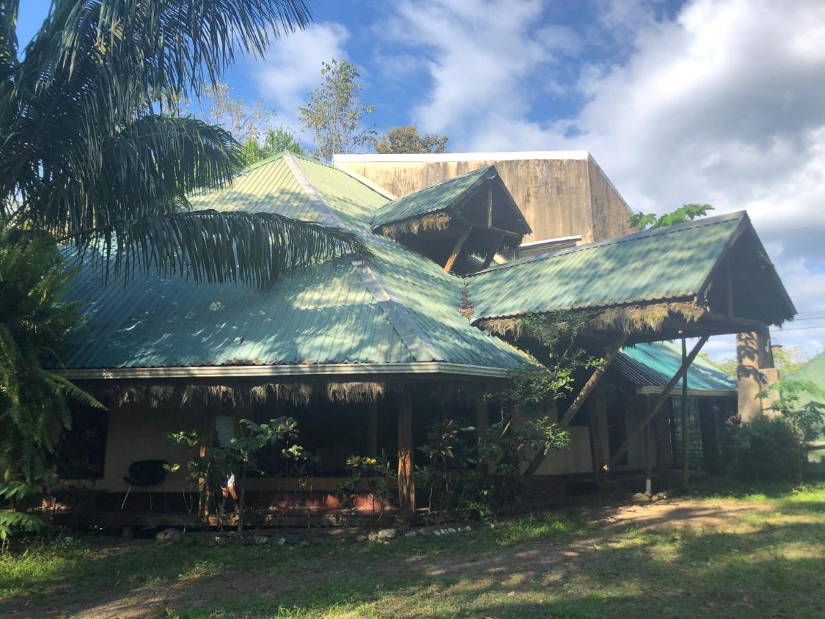 La Palapa Hut Nature * Puerto Jimenez