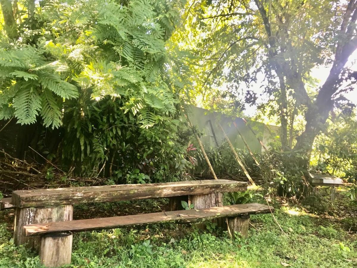 La Palapa Hut Nature Hostel