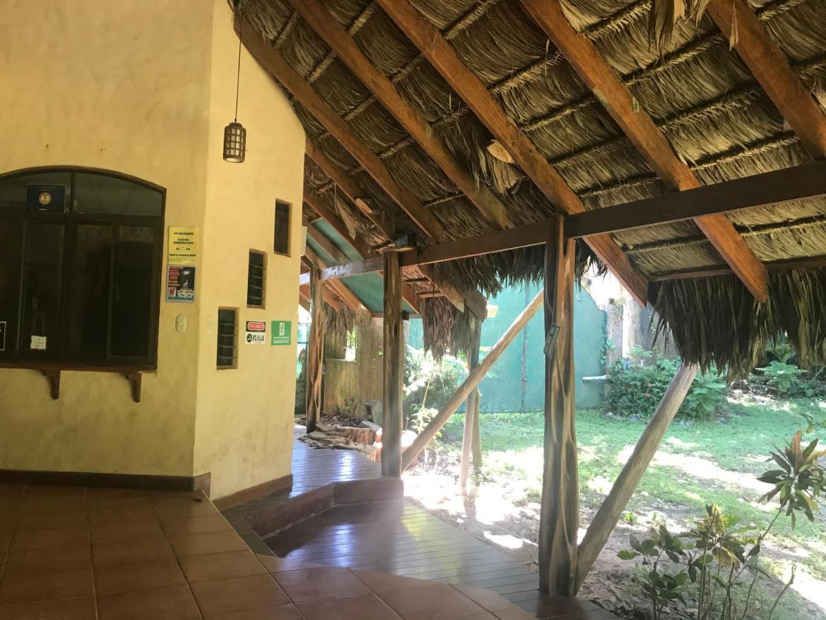 Hostel La Palapa Hut Nature