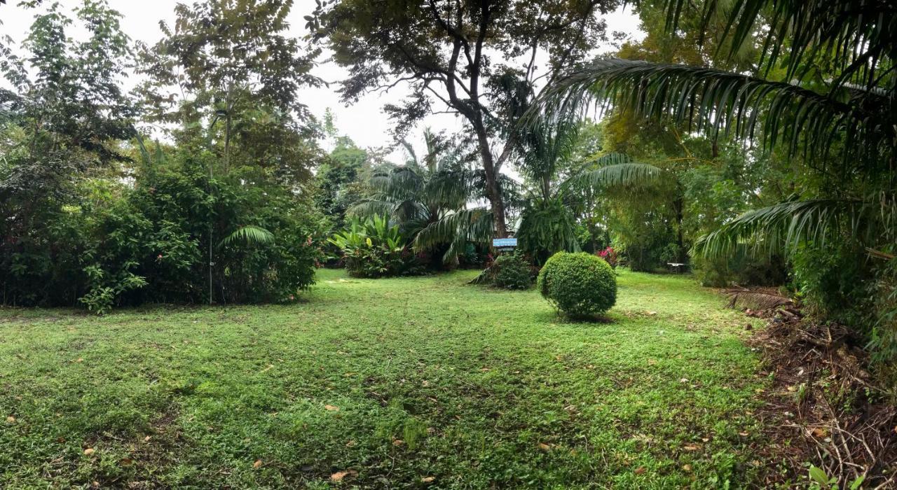 Hostel La Palapa Hut Nature