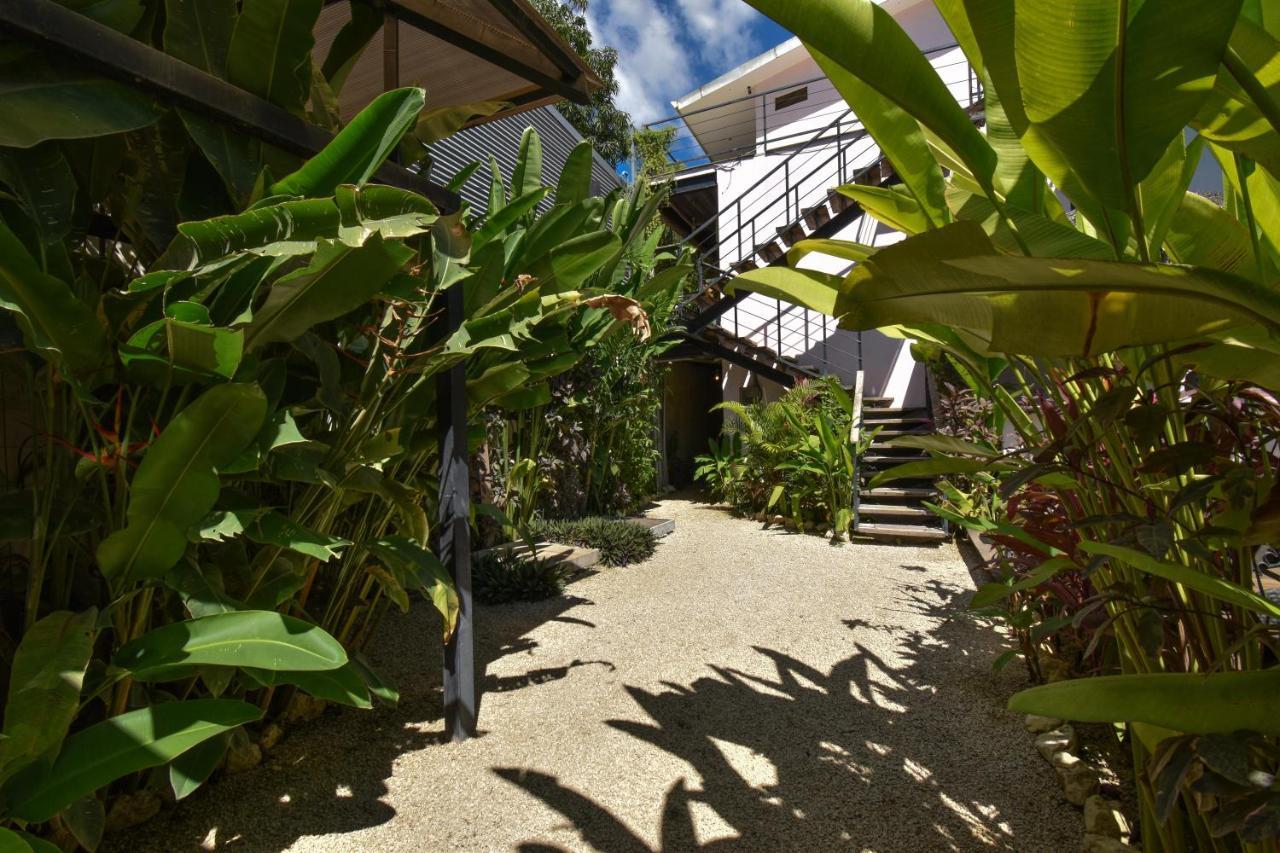 La Jolla Hotel Playa Santa Teresa (Puntarenas)