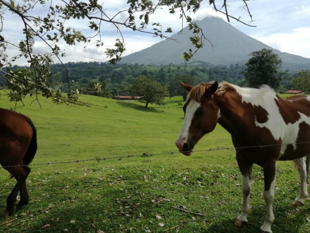Inn Casona Rustica & La Fortuna