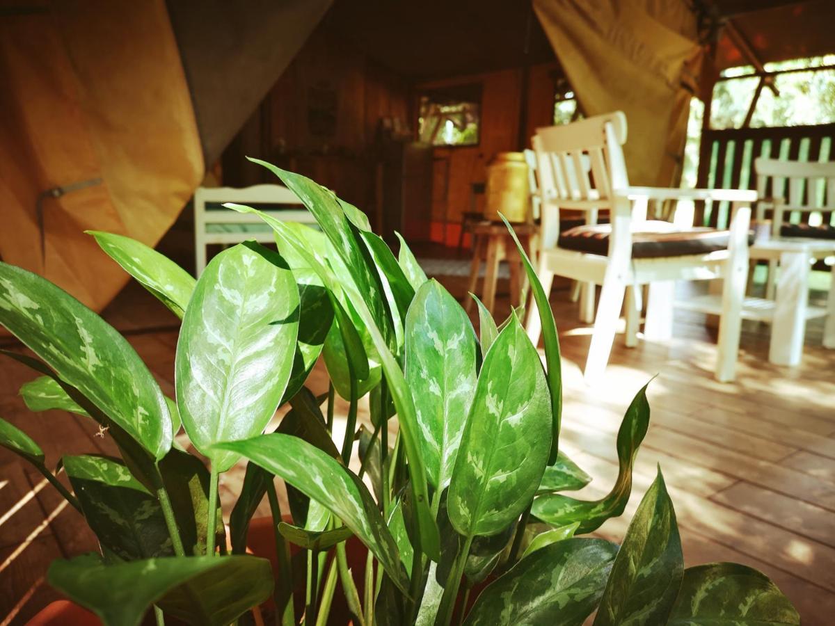 Lodge Casa Maya Samara