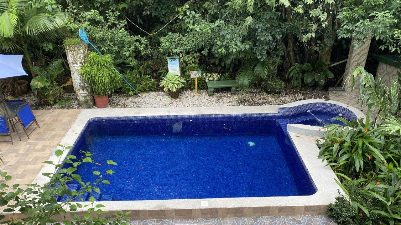 La Jungle Hotel