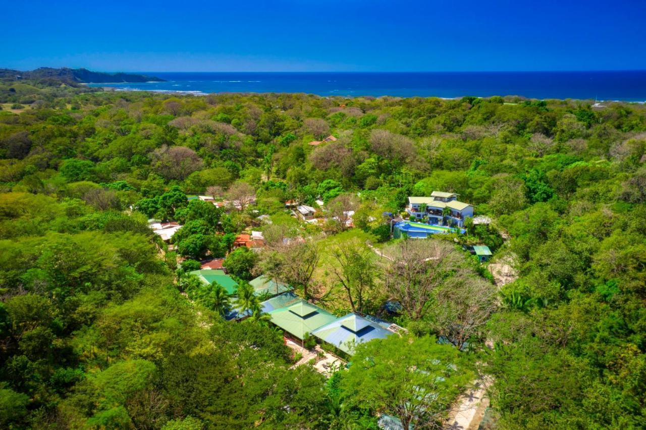 Jungle's Edge 3*