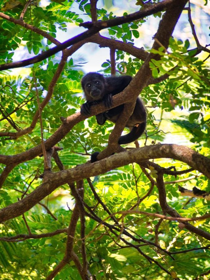 Vida Verde Eco-guesthouse
