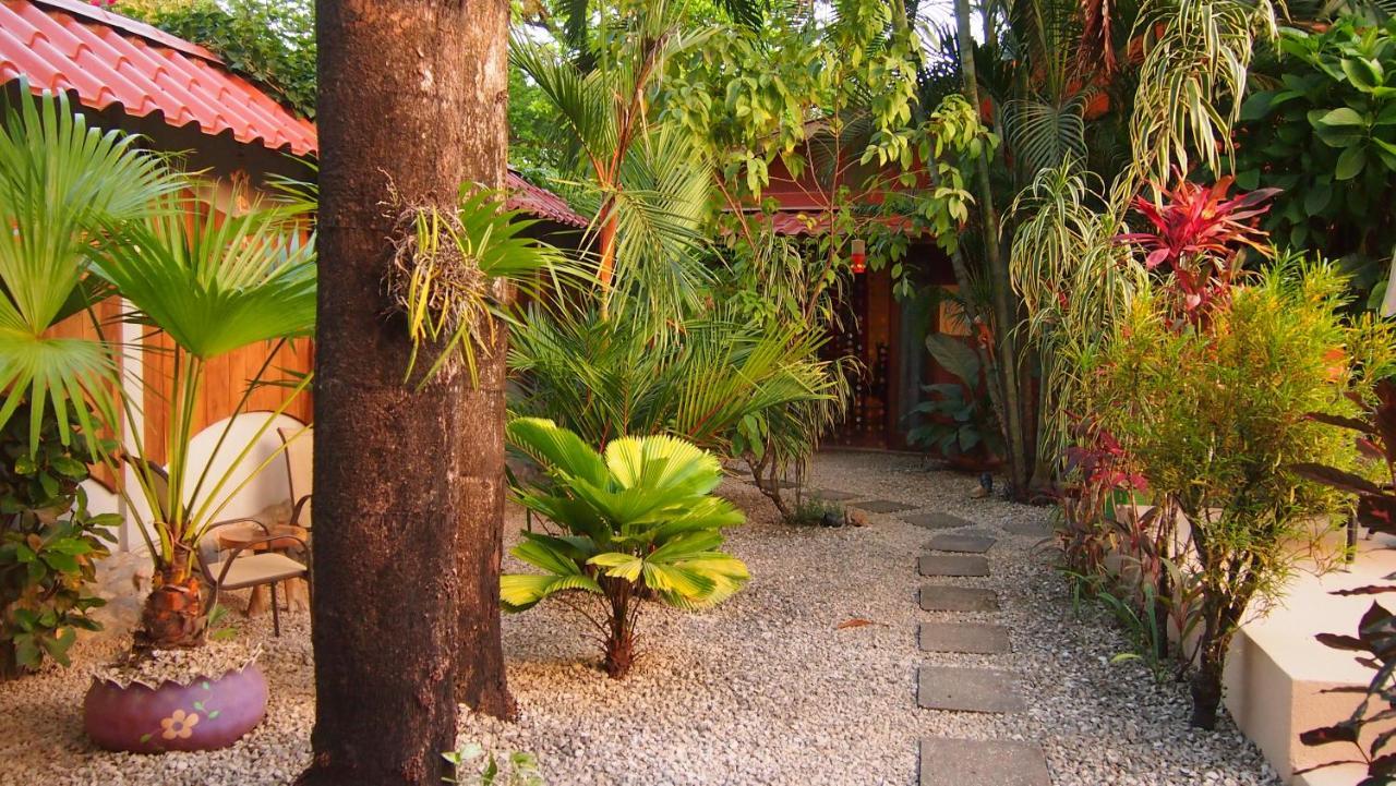 Palm Samara