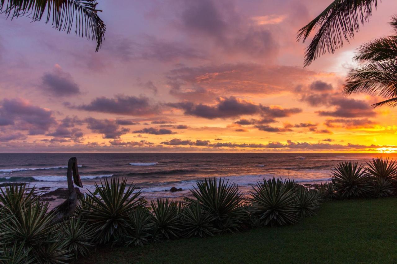 Diosa Del Mar Villa