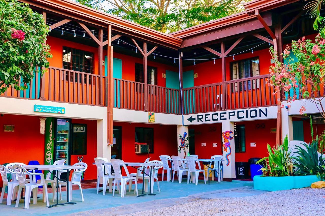 Hotel Blue Iguana 3*