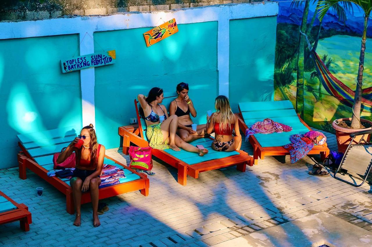 Blue Iguana Hotel