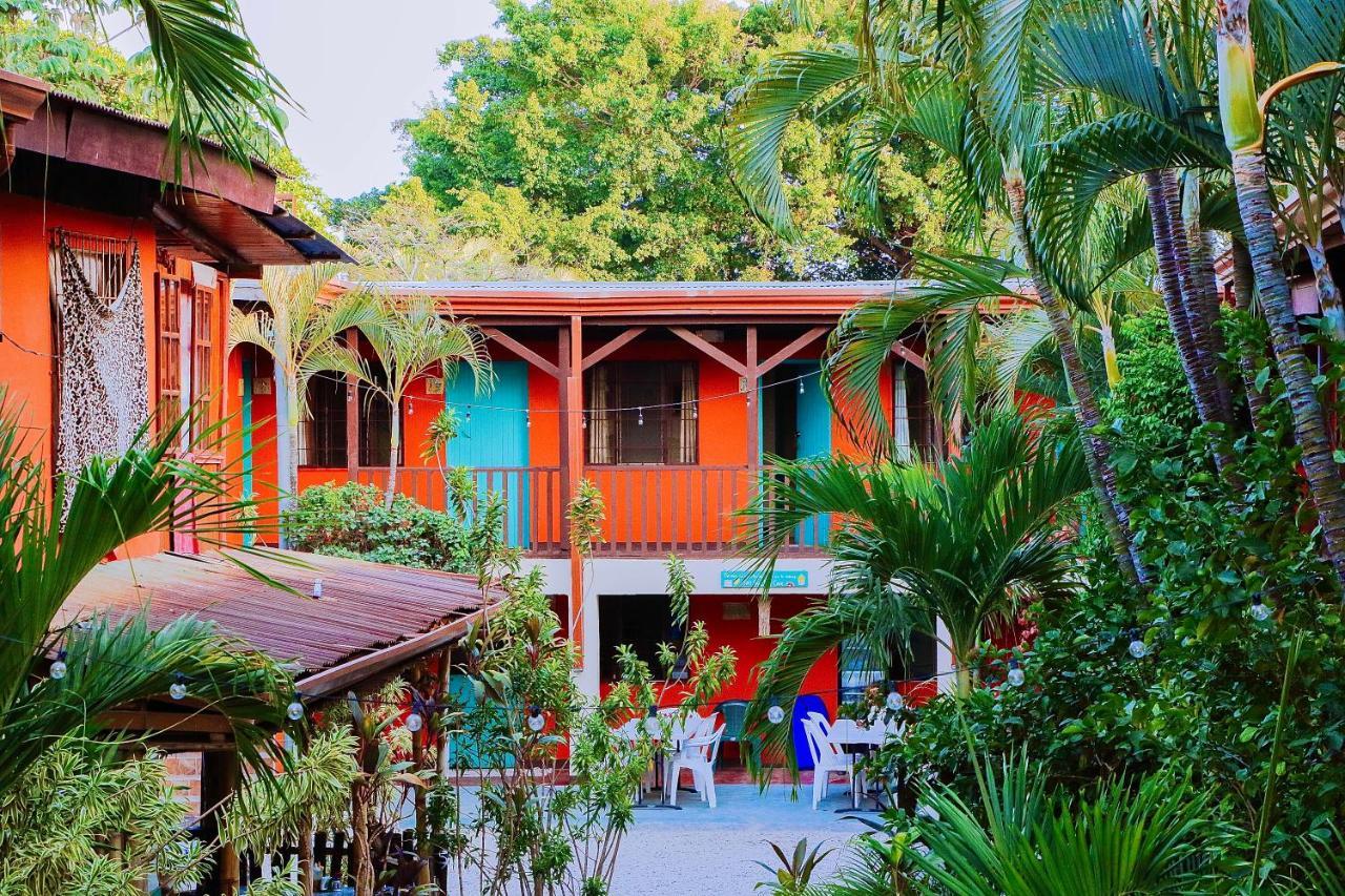 Blue Iguana