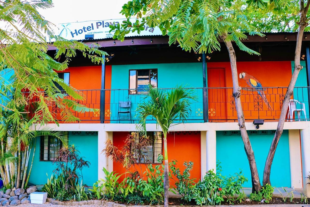 Blue Iguana 3*