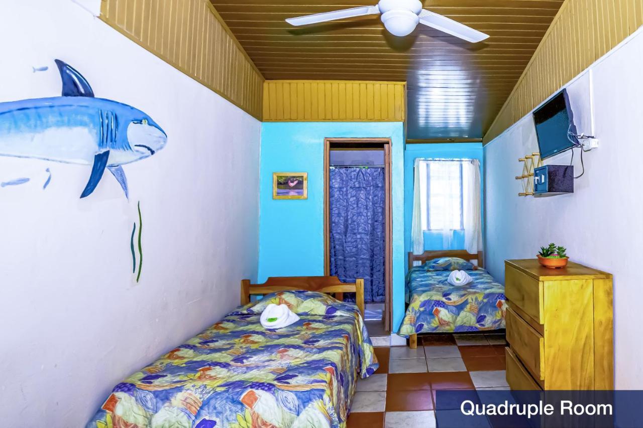Hotel Blue Iguana