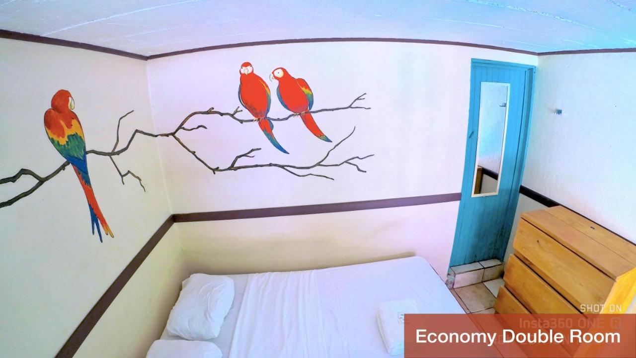 Blue Iguana Hotel