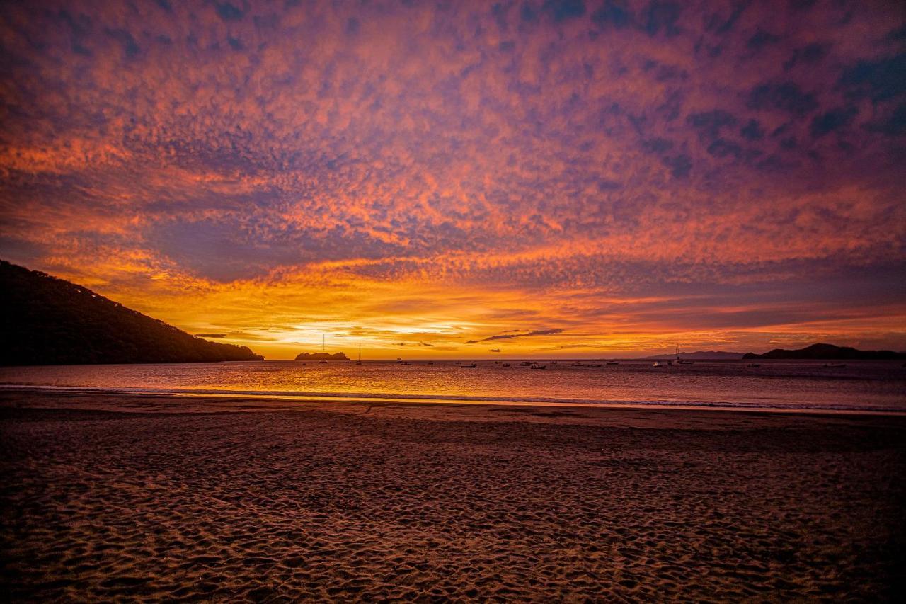 Bosque Del Mar Playa Hermosa