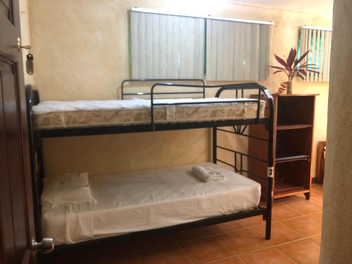 La Palapa Hut Nature Hostel *