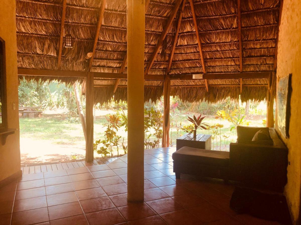 La Palapa Hut Nature Hostel *