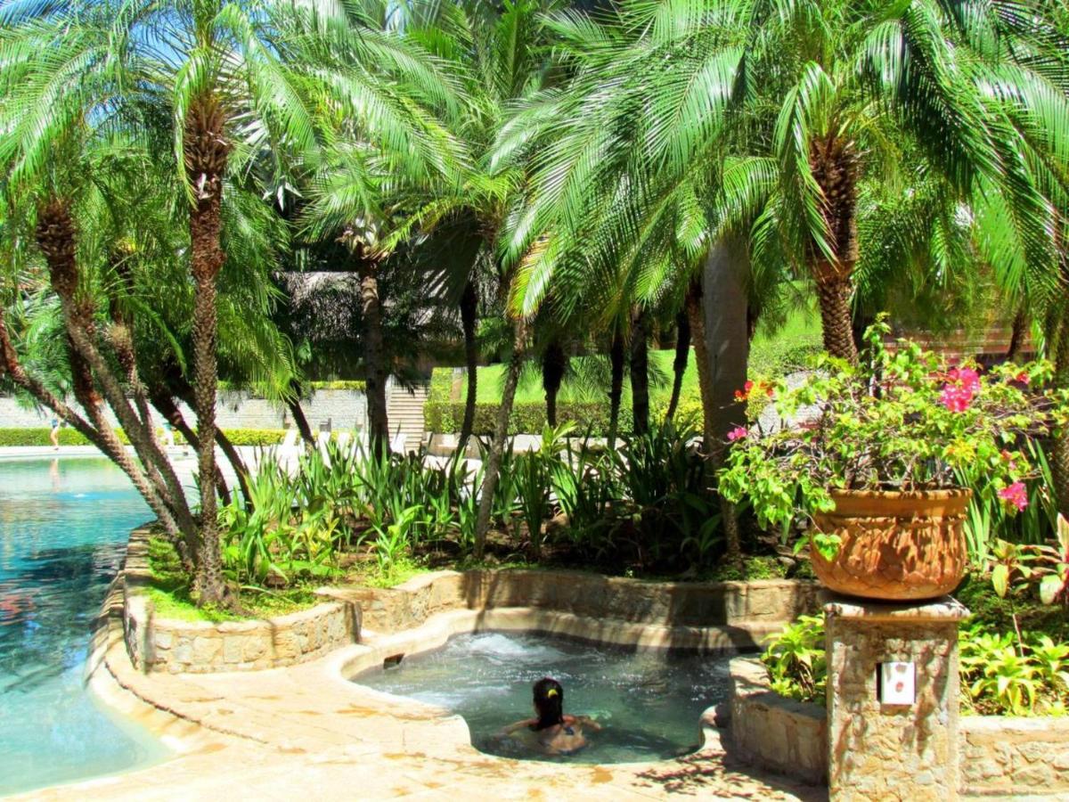 206 Matapalo Tamarindo