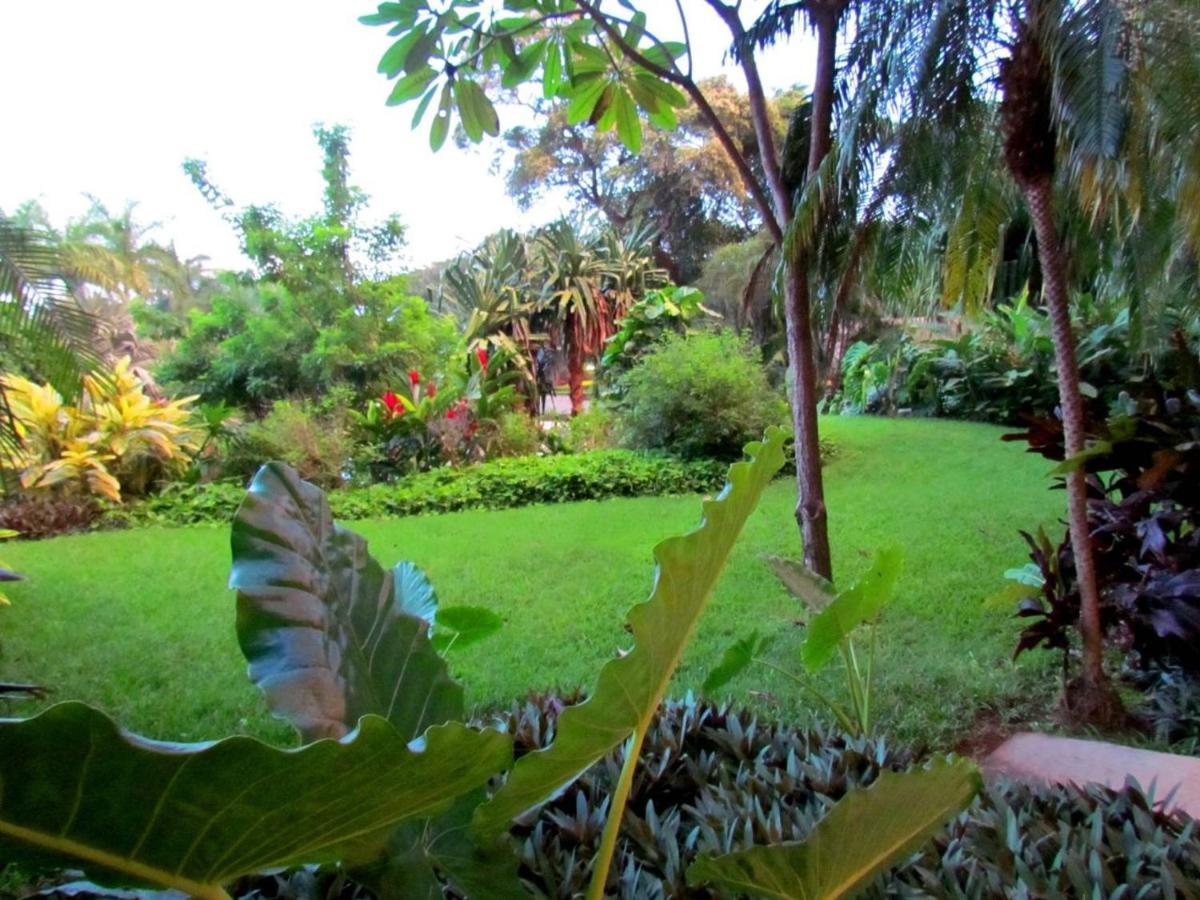 206 Matapalo Apartment *