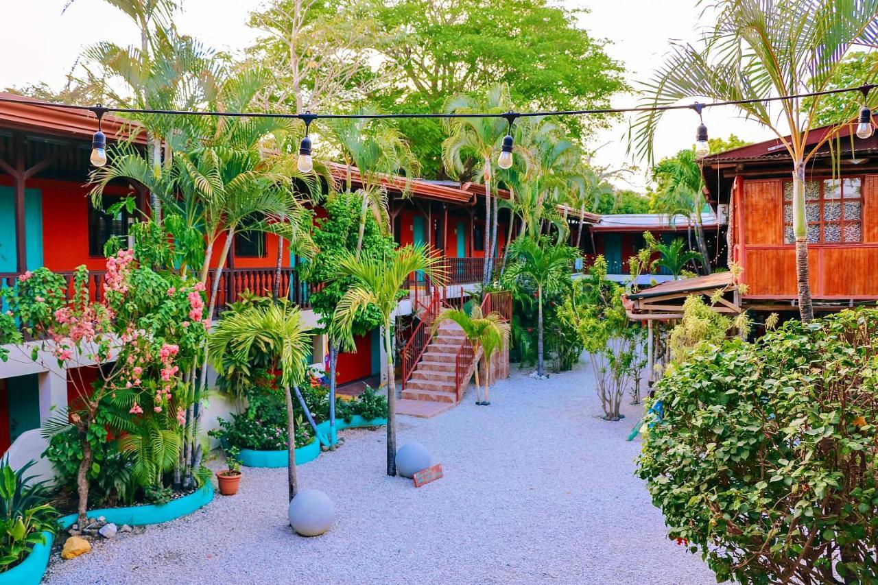 Hotel Blue Iguana