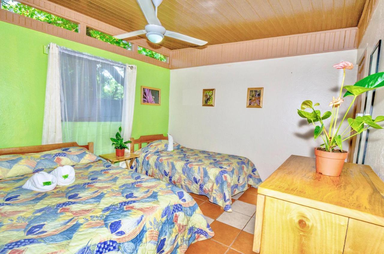 Blue Iguana 3* Samara