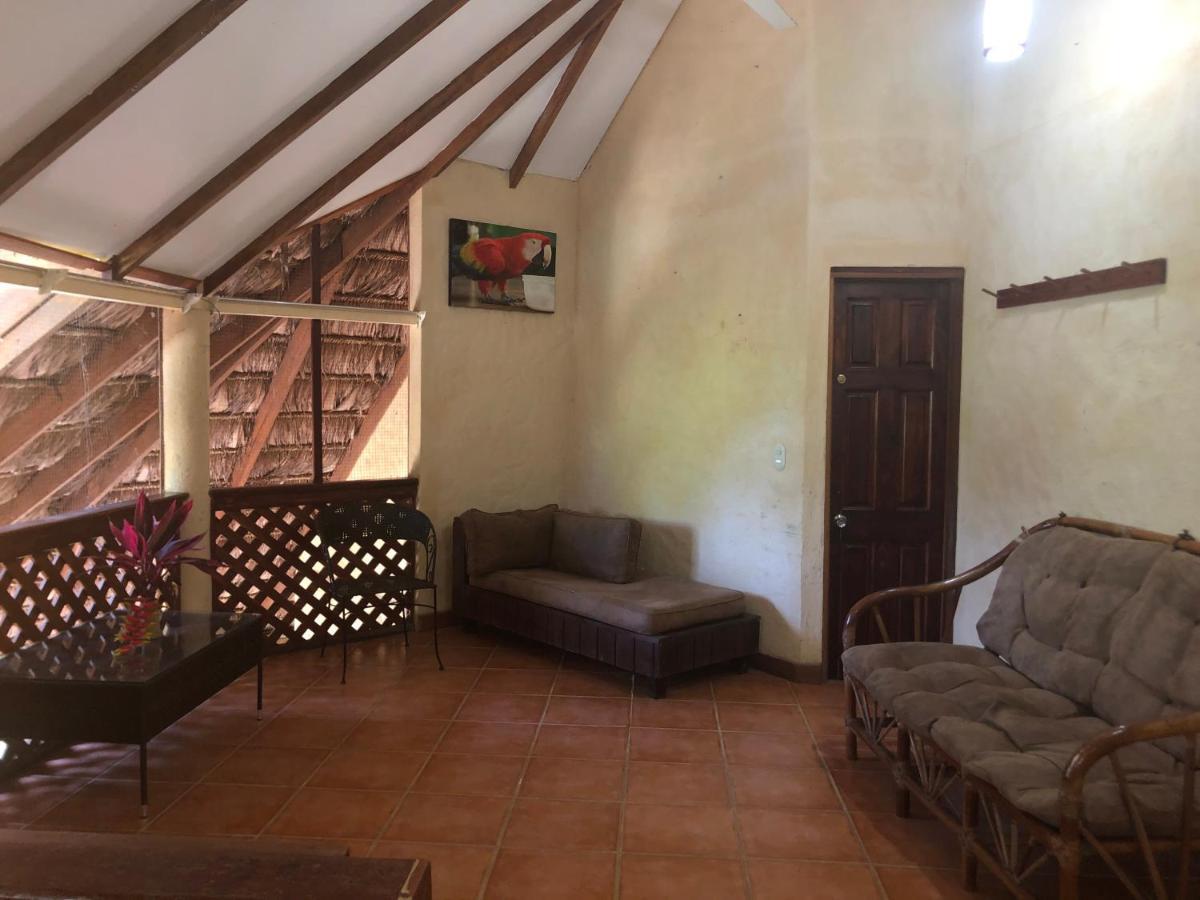La Palapa Hut Nature Hostel
