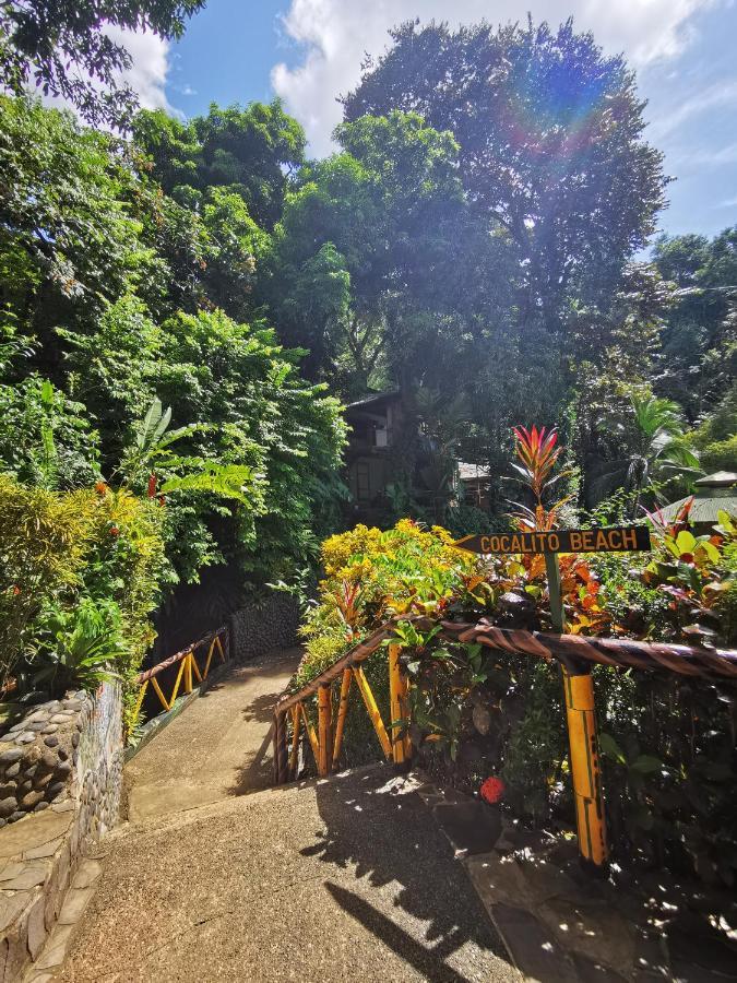 Hotel Aguila De Osa Rainforest Drake Bay