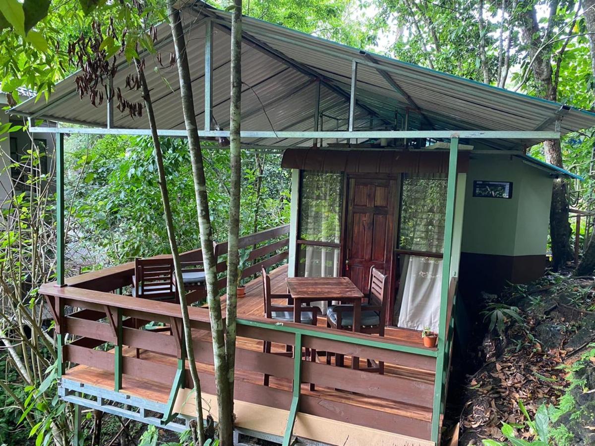 Mycasa's Manuel Antonio