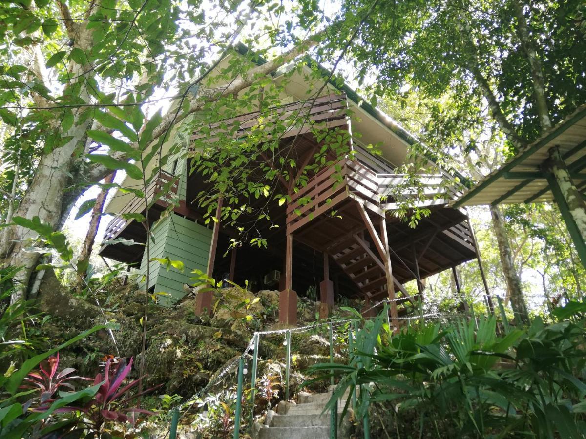 Bed & Breakfast Mycasa's 2*