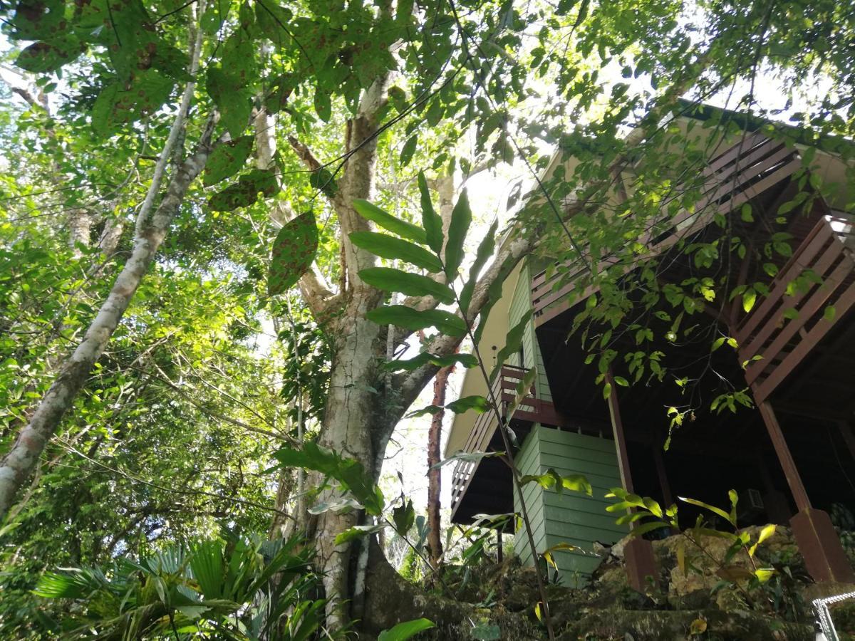 Bed & Breakfast Mycasa's Manuel Antonio