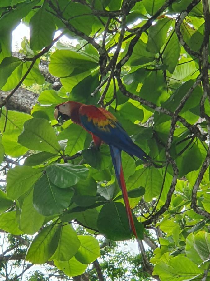 Hotel The Sunset Tucano
