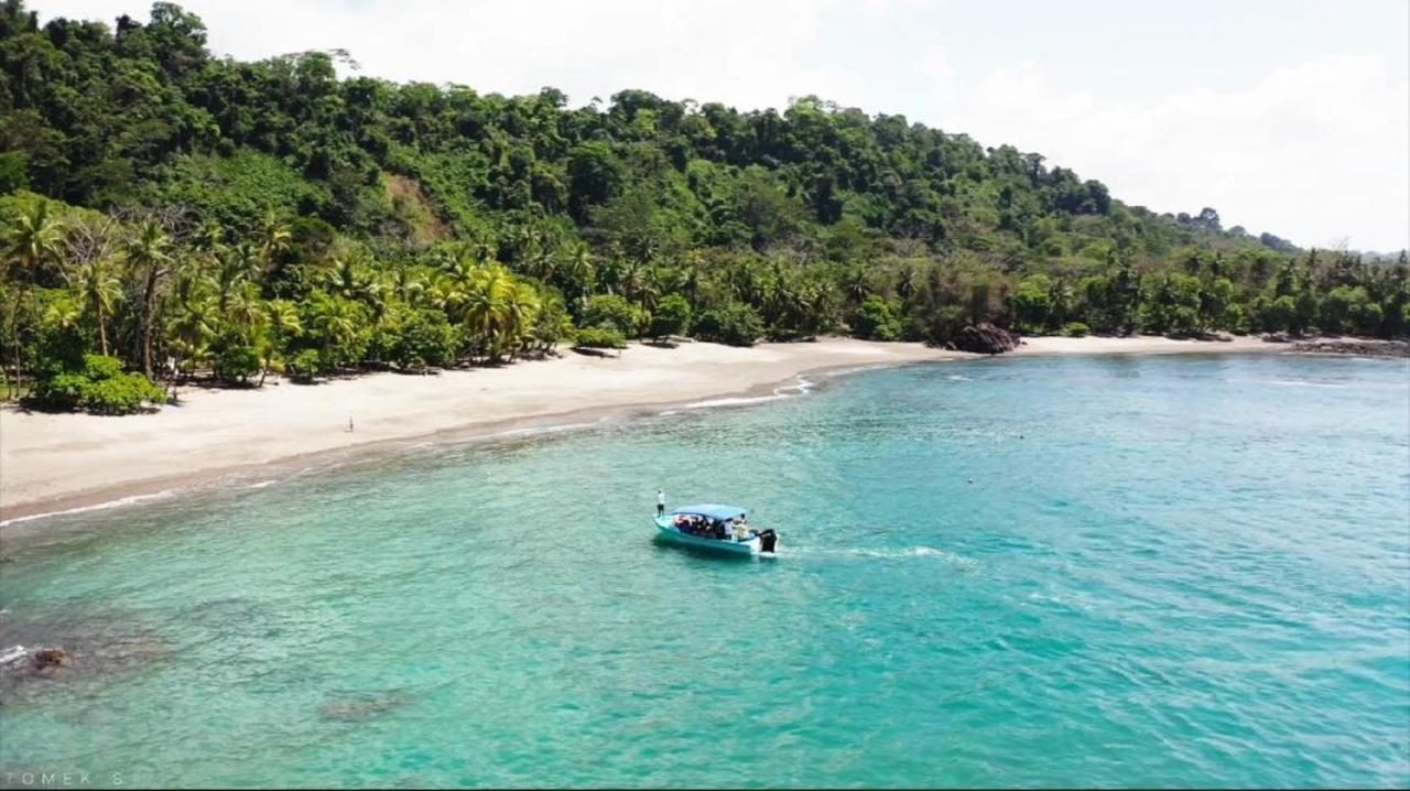 Hostel Life For Life Hostel: Sea Turtle Conservation At Drake Bay