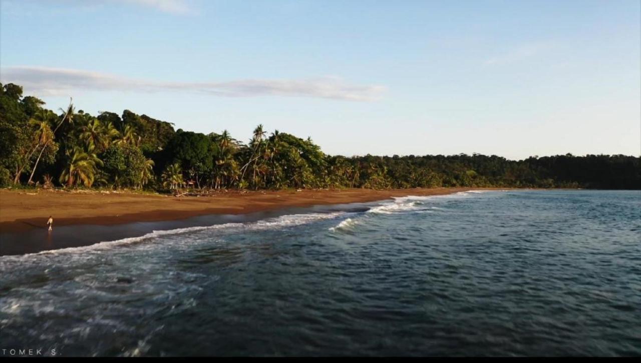 Life For Life Hostel: Sea Turtle Conservation At Hostel *