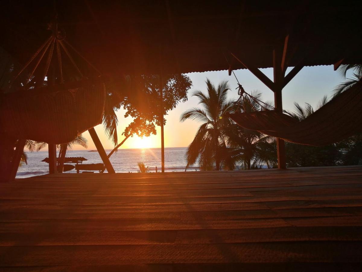 Life For Life Hostel: Sea Turtle Conservation At Hostel