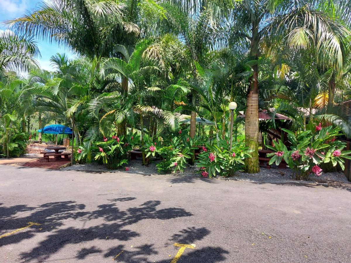Palmera Real Hot Springs Hotel La Fortuna