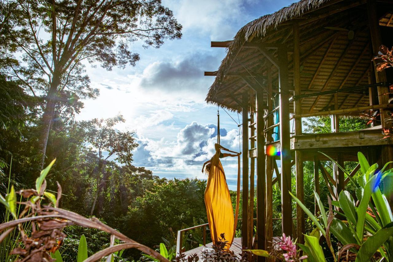 Selva Armonia Immersive Jungle Uvita