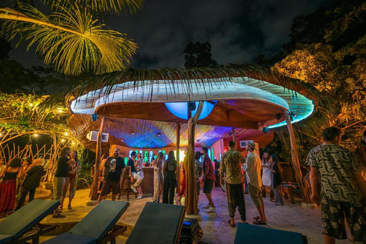 Selva Armonia Immersive Jungle