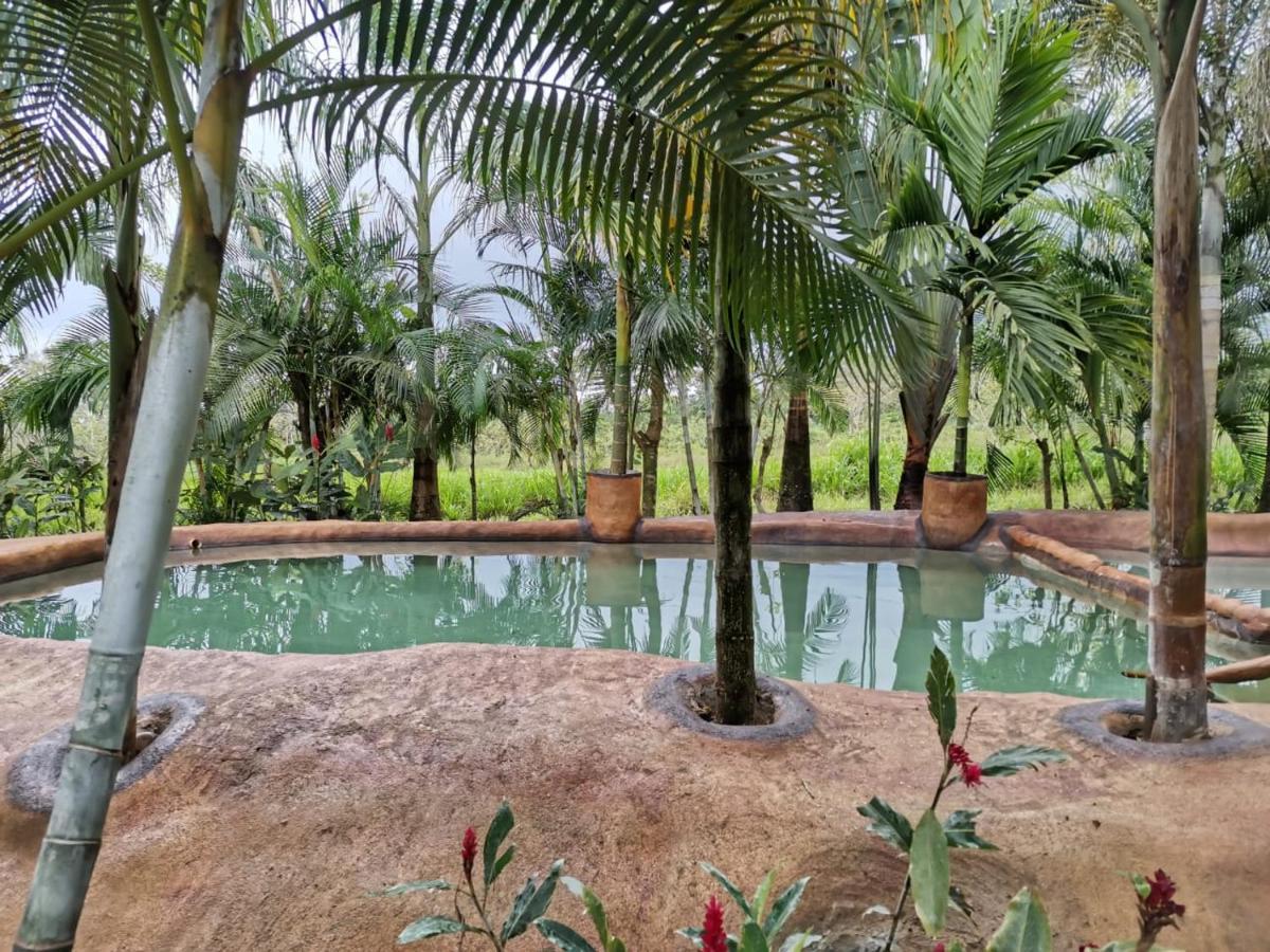 Palmera Real Hot Springs