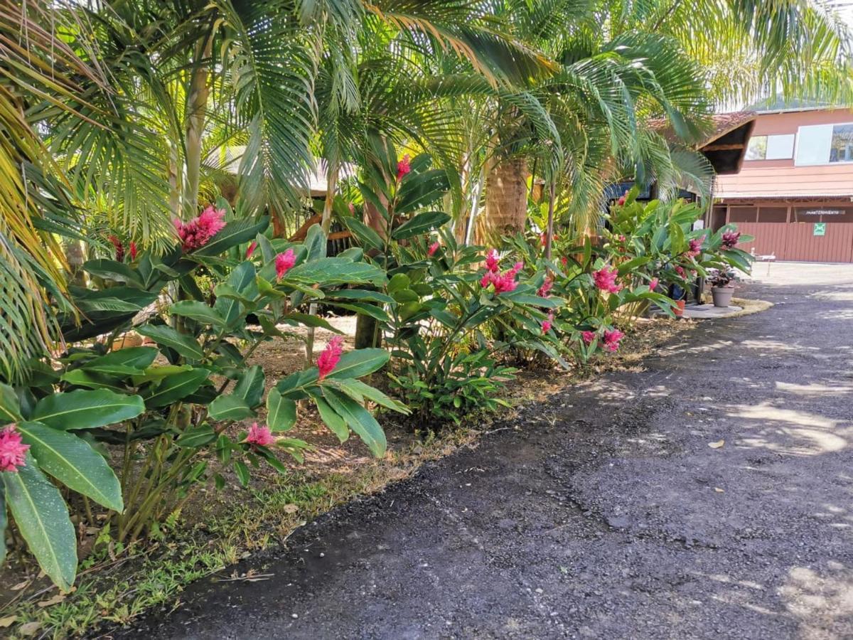 Palmera Real Hot Springs Hotel