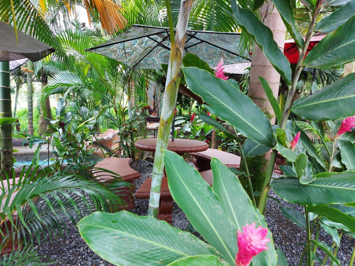 Hotel Palmera Real Hot Springs 2*