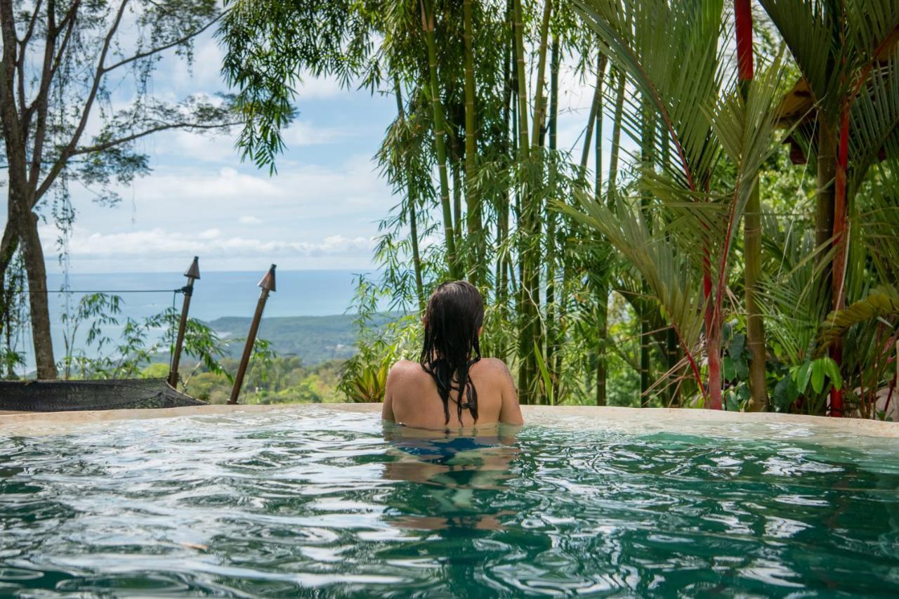 Selva Armonia Immersive Jungle Hotel