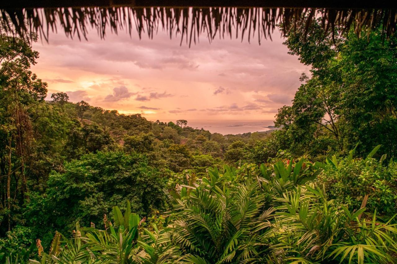 Selva Armonia Immersive Jungle Hotel 4*