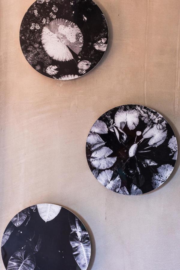 Mother Earth Luxury Boutique Hotel, Restaurant & (adults Only) * Tamarindo