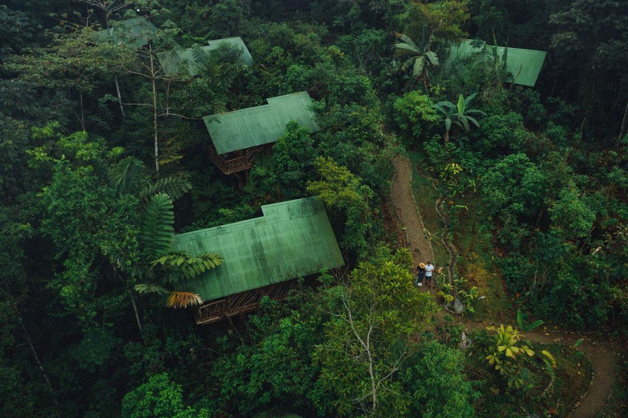 La Tigra Rainforest * La Fortuna