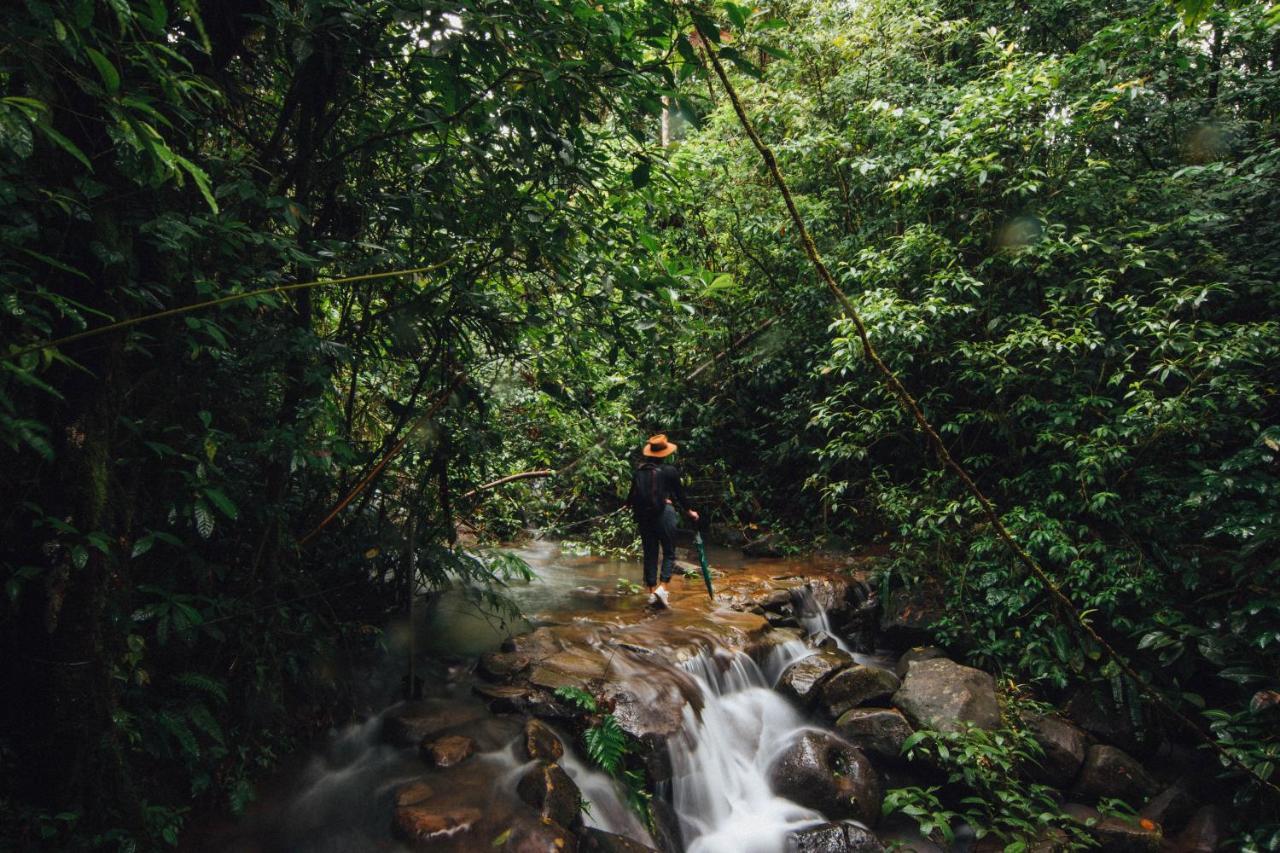 La Tigra Rainforest Lodge La Fortuna