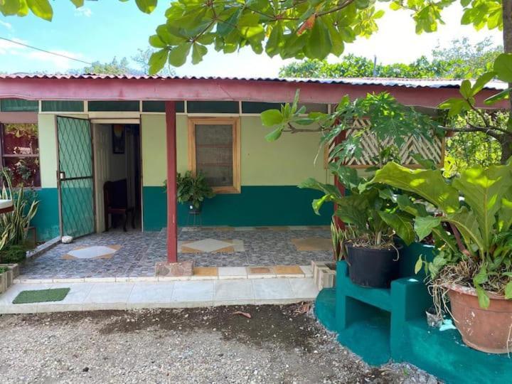 Coco Verde Bed & Breakfast