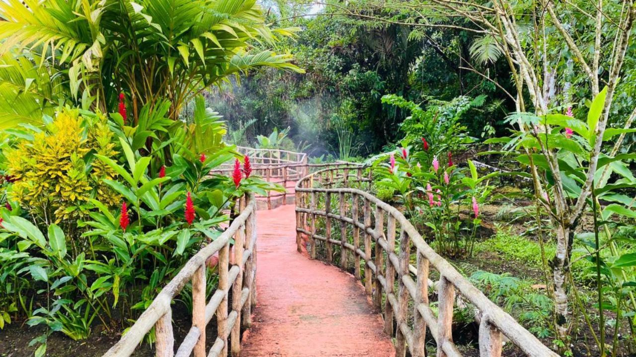 Blue River & Hot Springs Liberia